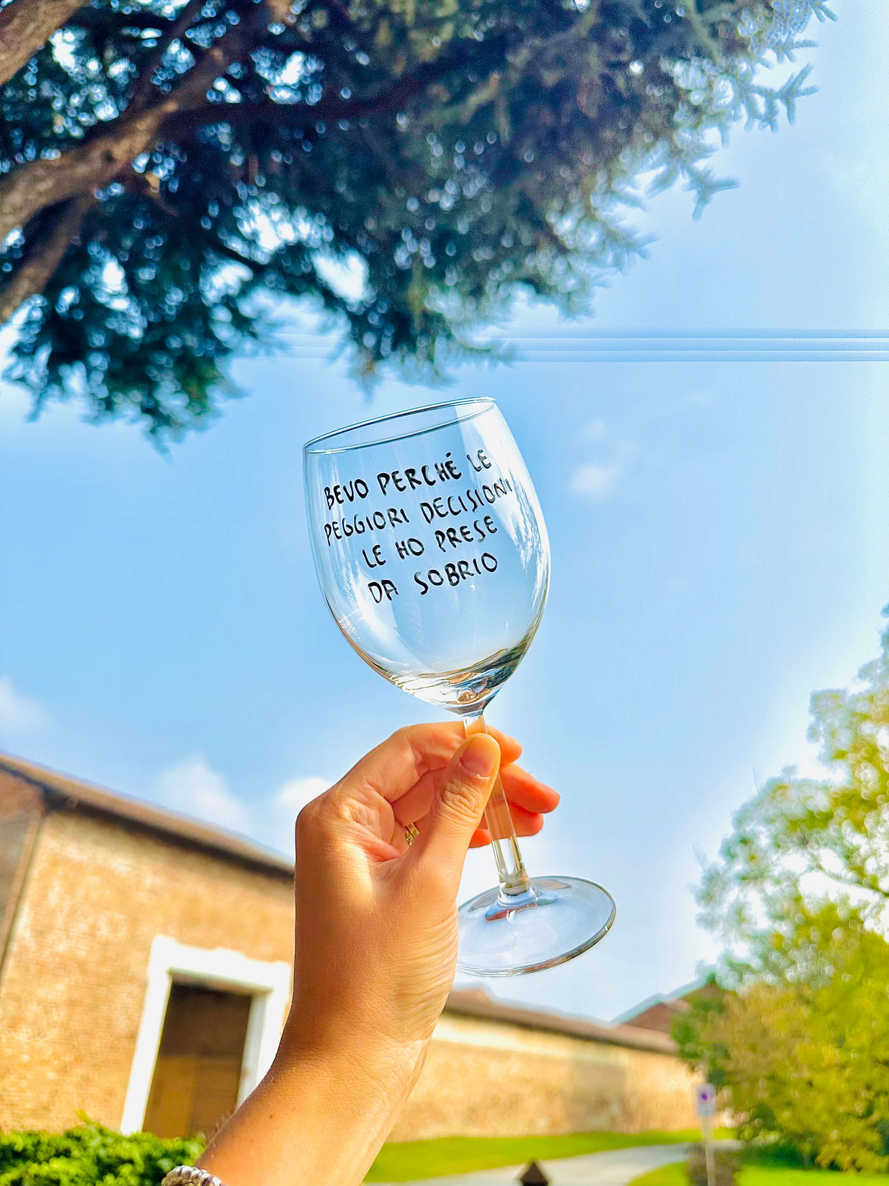 Bevo perchè le peggiori decisioni le ho prese da sobrio